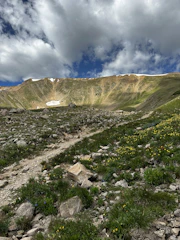 Rocky mountain path overlooking a vast alpine valley with wildflowers in bloom.