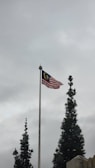 A flagpole with the Malaysian flag waves high amongst overcast skies. The surrounding landscape features tall, evergreen trees with dense foliage.