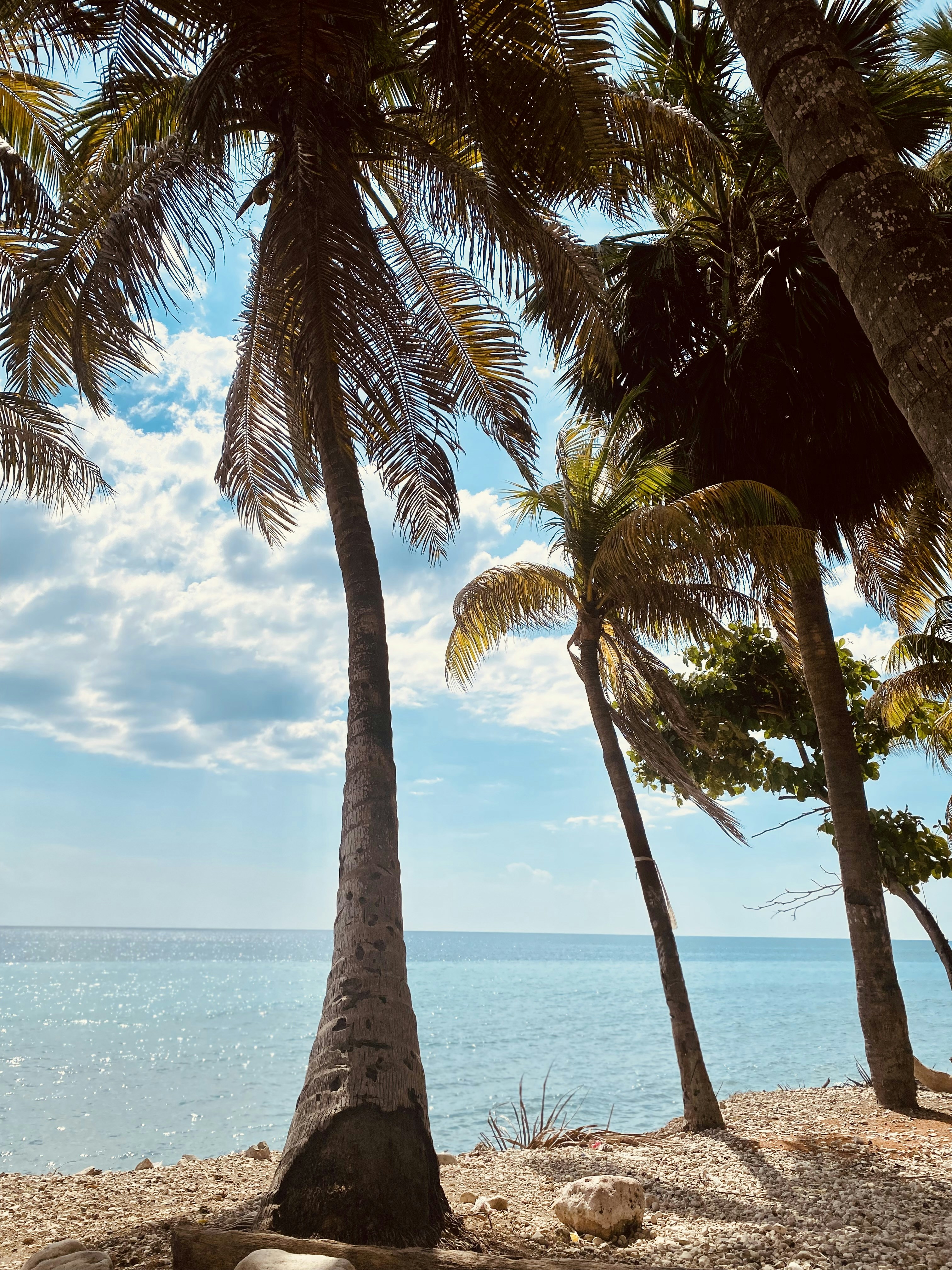 Photo by chouchoune31