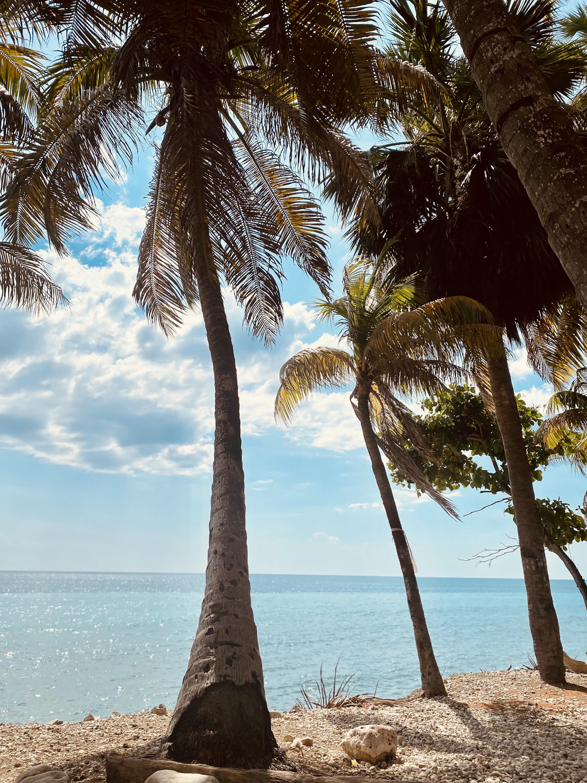 Jacmel