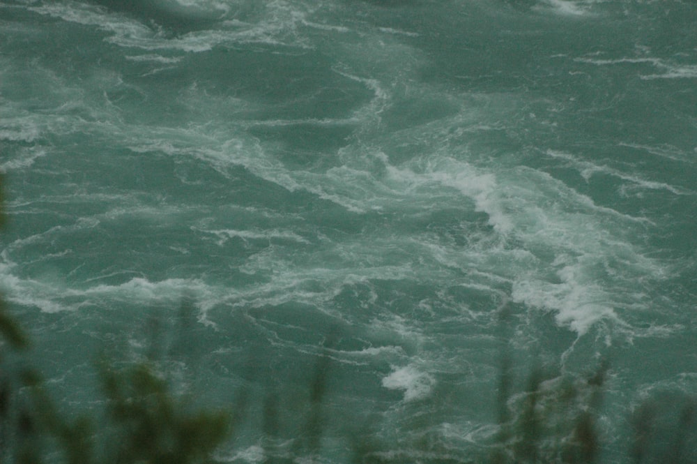 a large body of water surrounded by trees