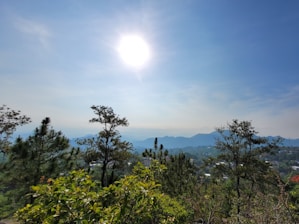 Scenic view of fertile land in the Ecuadorian east with bright, sunny skies.