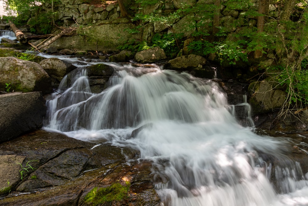 a small waterfall in the middle of a forest