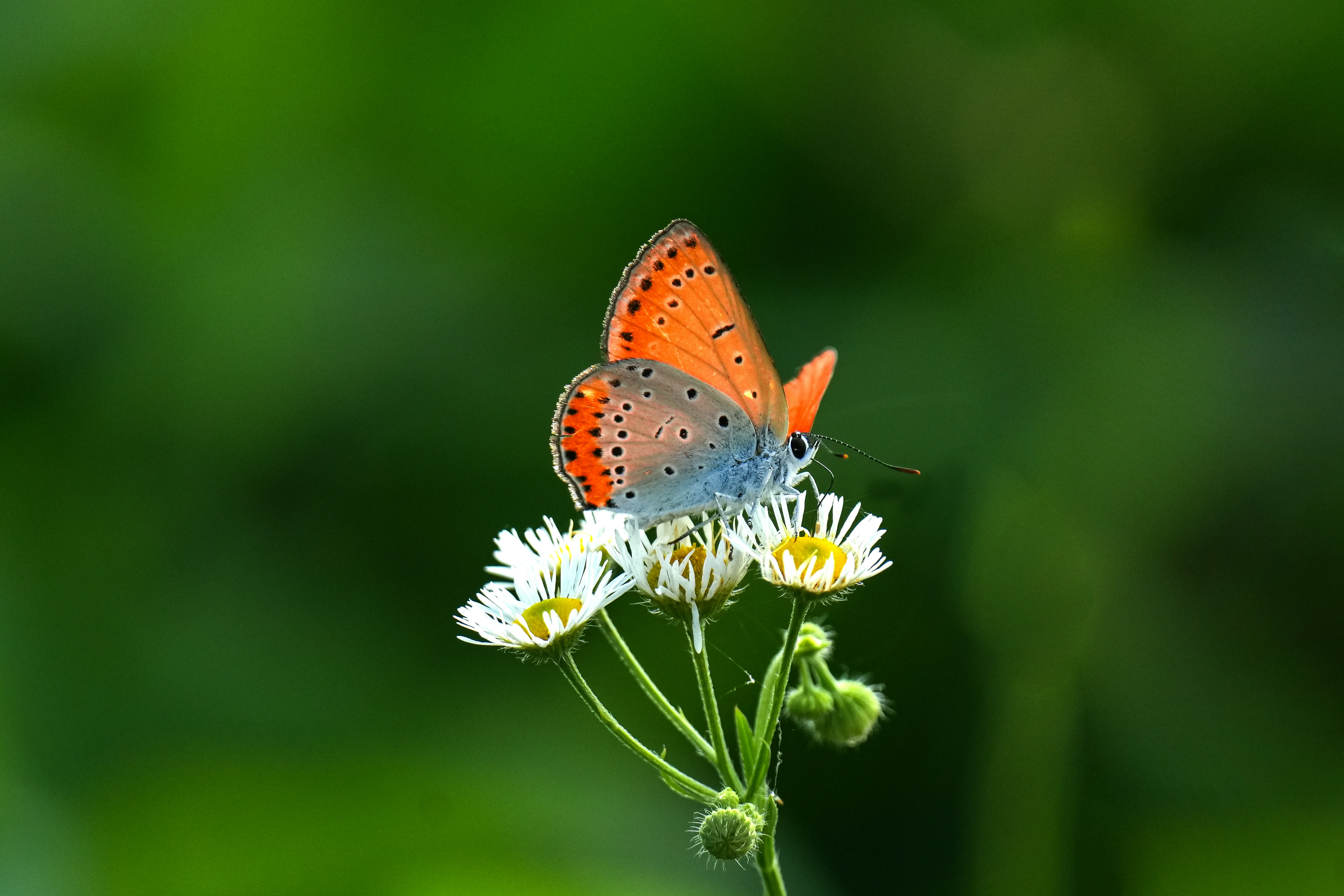 Photo by kim_dae_jeung