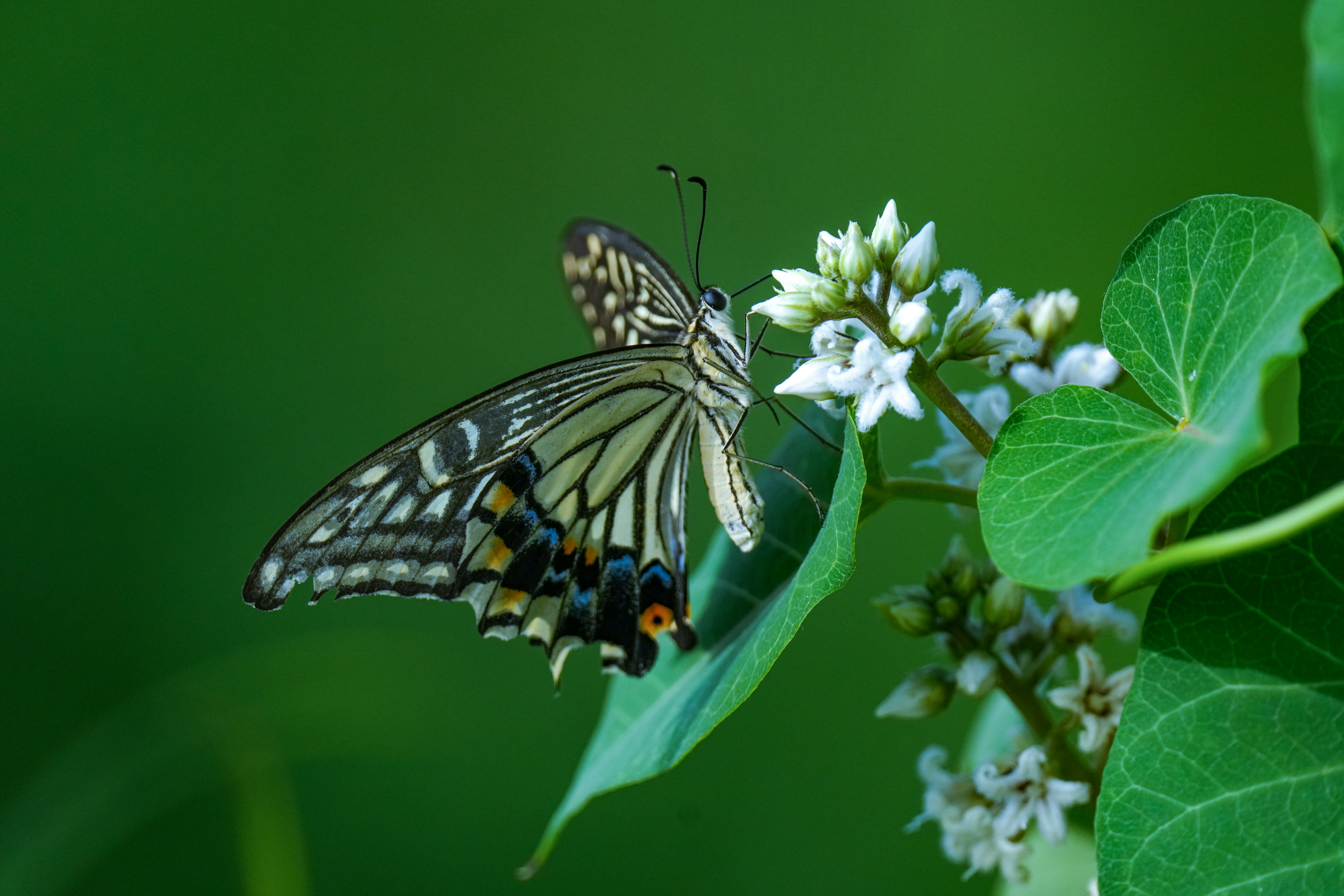 Photo by kim_dae_jeung