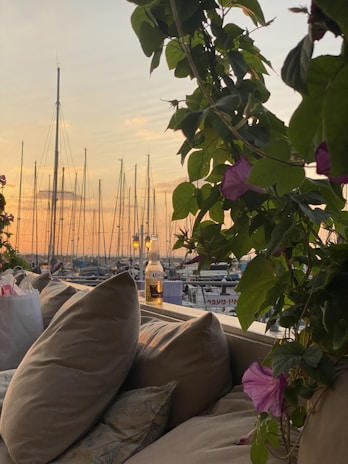 A cozy marina lounge area with comfortable seating overlooking the water at sunset.