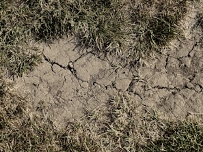 Cracked dry soil is surrounded by patches of dry grass, indicating a lack of moisture. The ground appears parched and barren, with visible fissures and hardened earth.