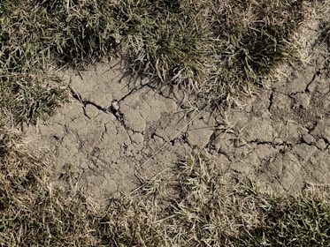 Cracked dry soil is surrounded by patches of dry grass, indicating a lack of moisture. The ground appears parched and barren, with visible fissures and hardened earth.