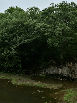 A serene nature scene showcasing eco-friendly products in use.