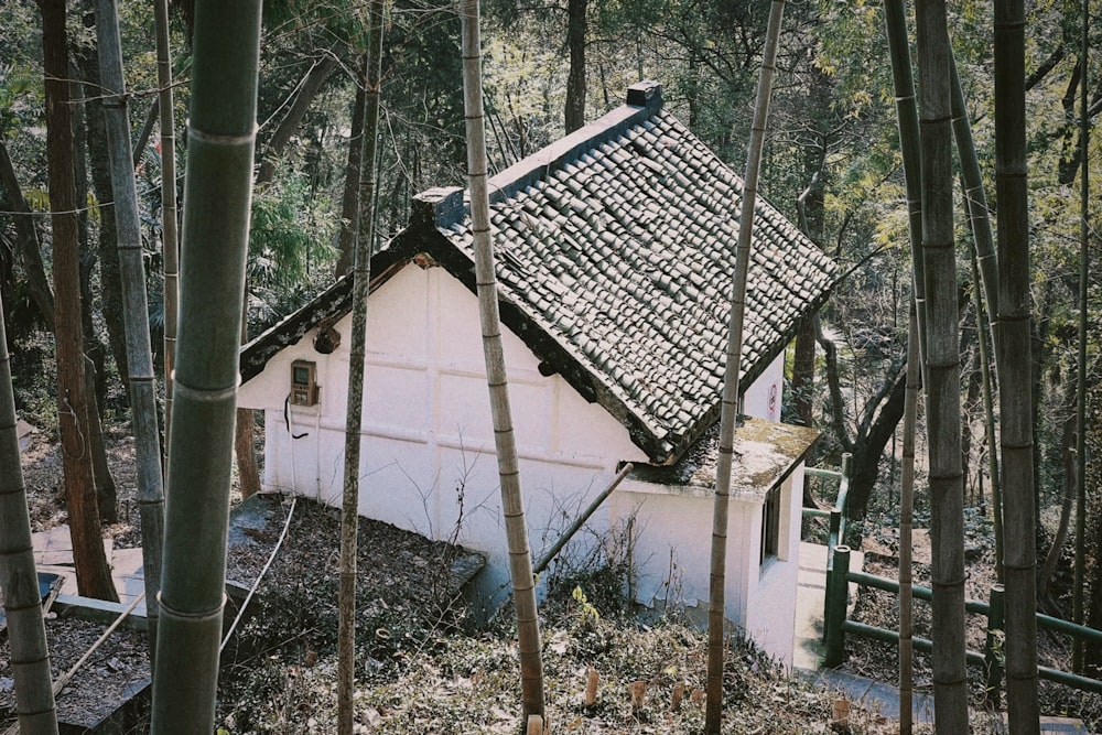 a house in the middle of a forest