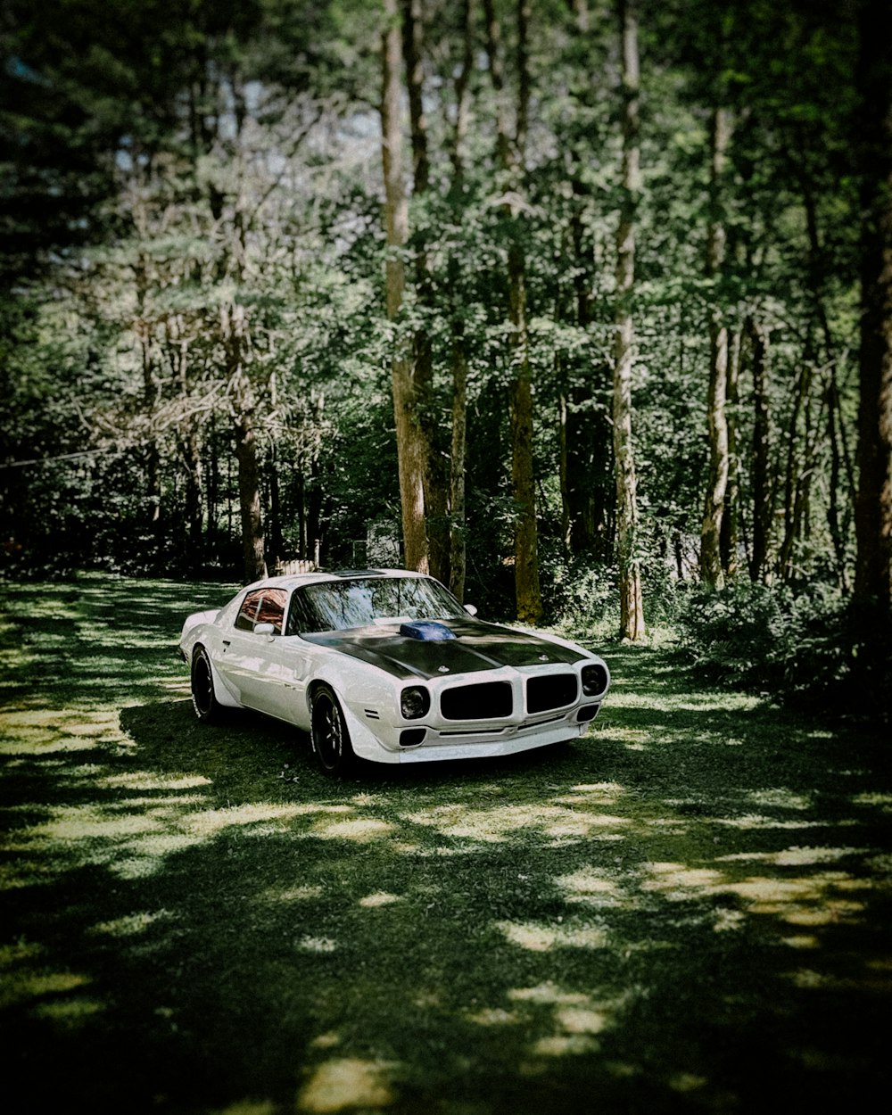a white car parked in the middle of a forest