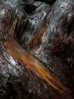 A close-up of treated wood highlighting its natural texture.