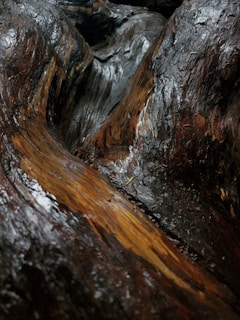 A close-up of treated wood highlighting its natural texture.