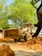 A skilled operator using heavy machinery to clear land for a construction project.