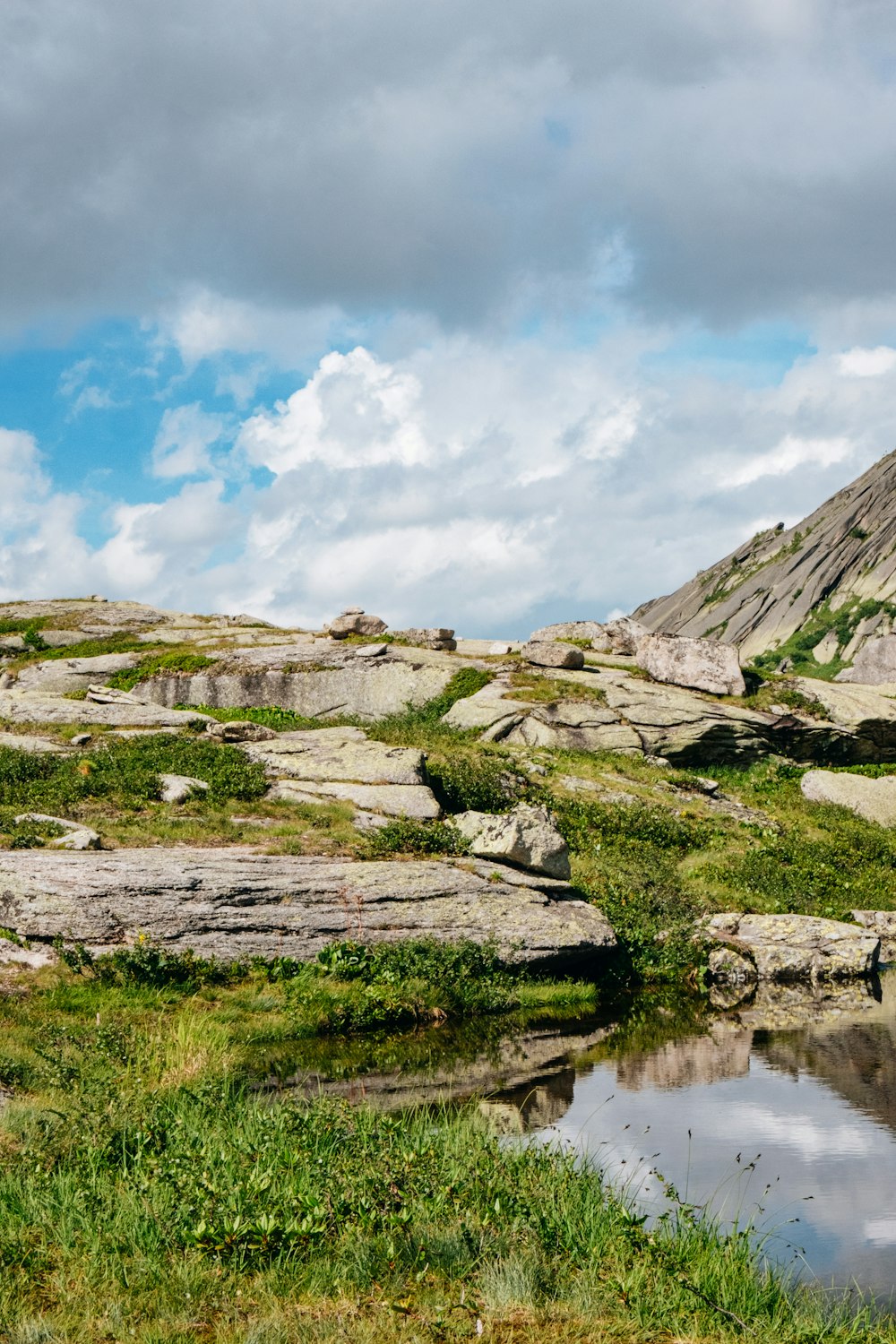 a small pond in the middle of a rocky field