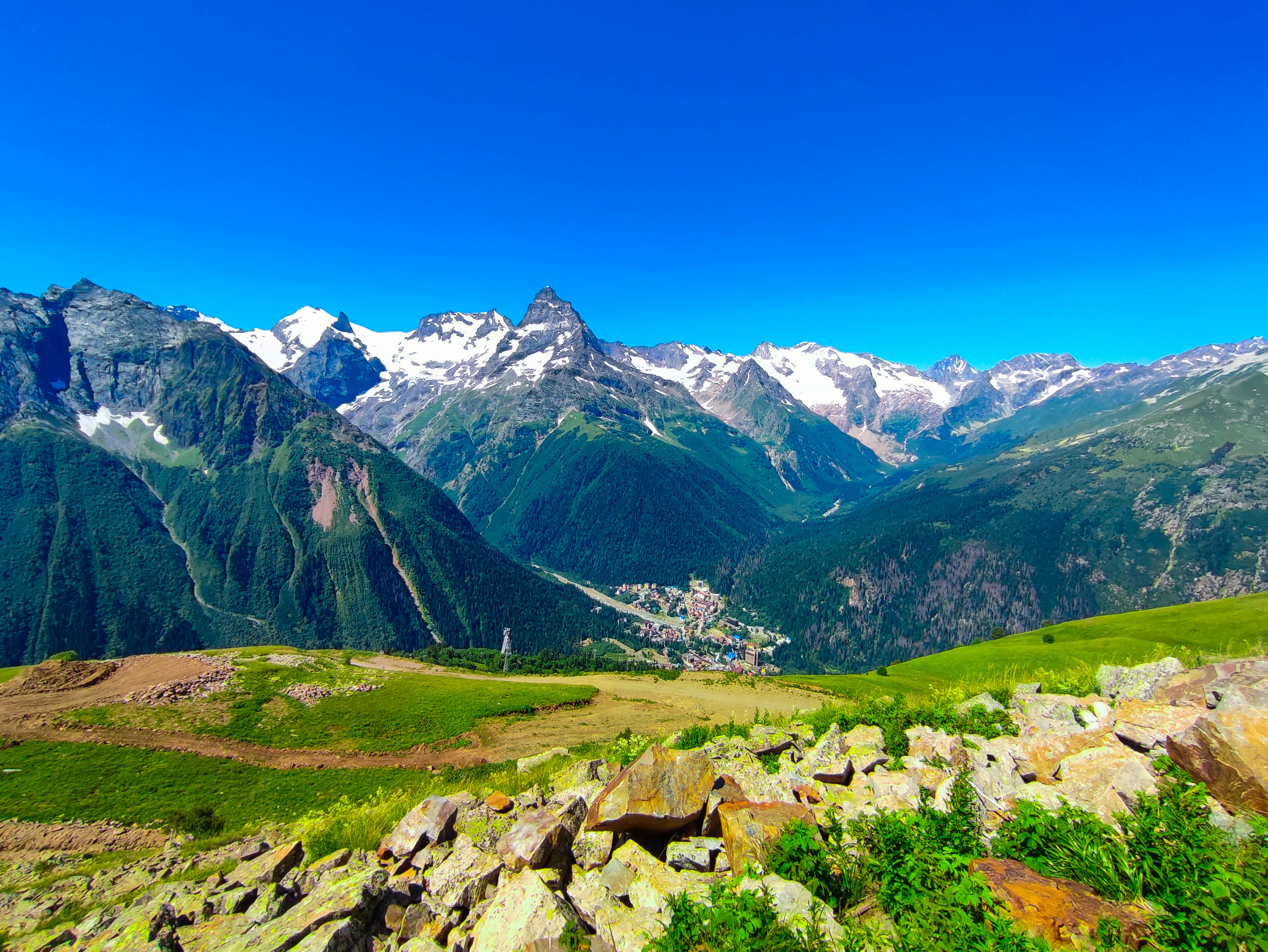 Photo by androktonus