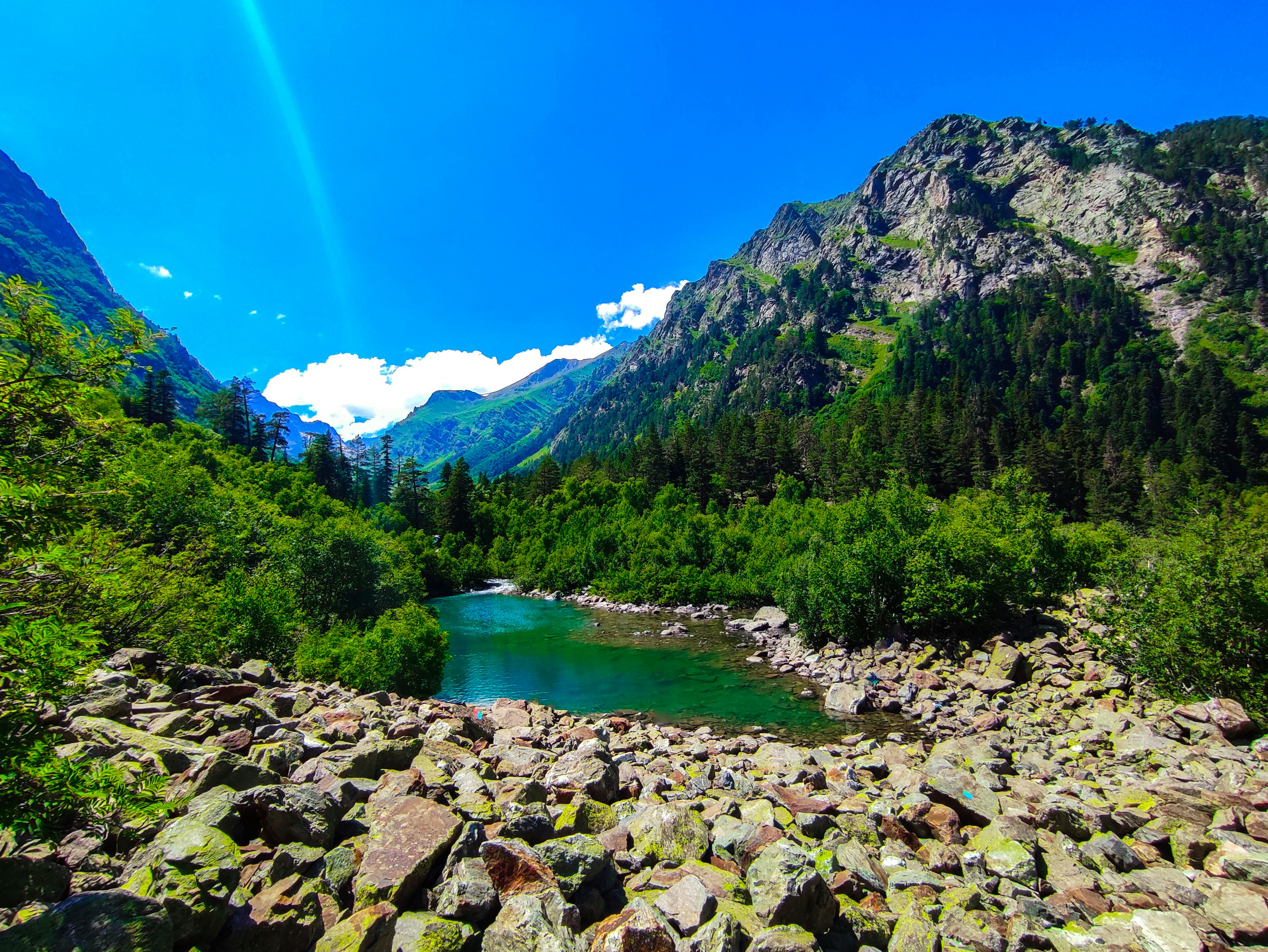 Photo by androktonus