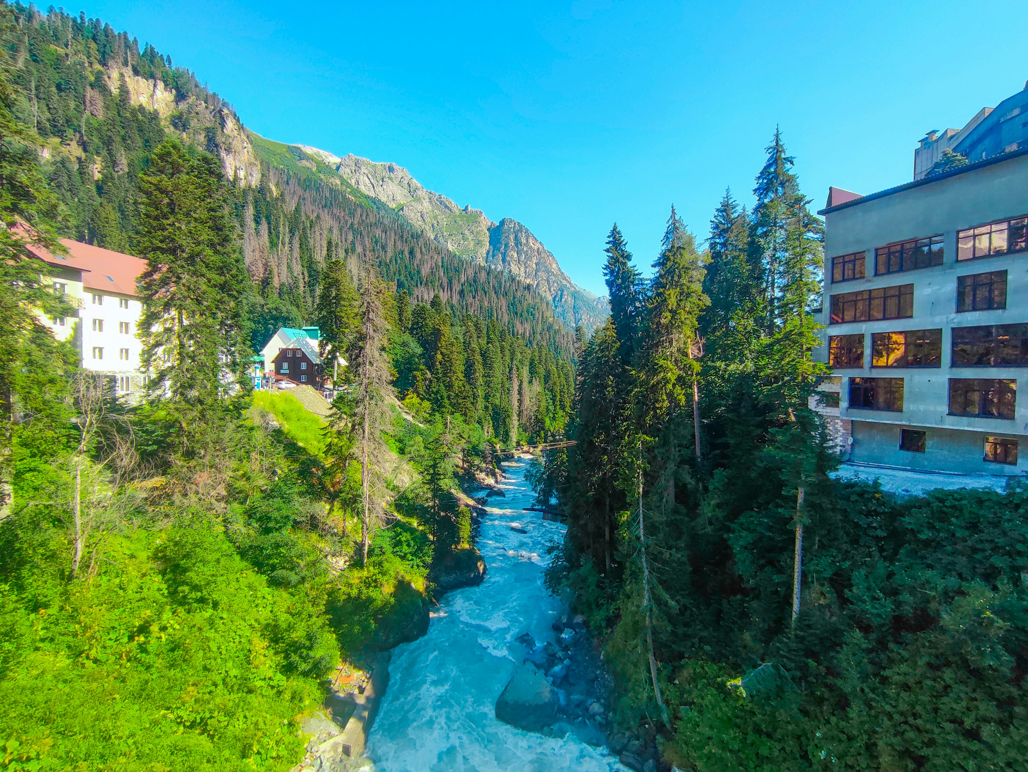 Photo by androktonus