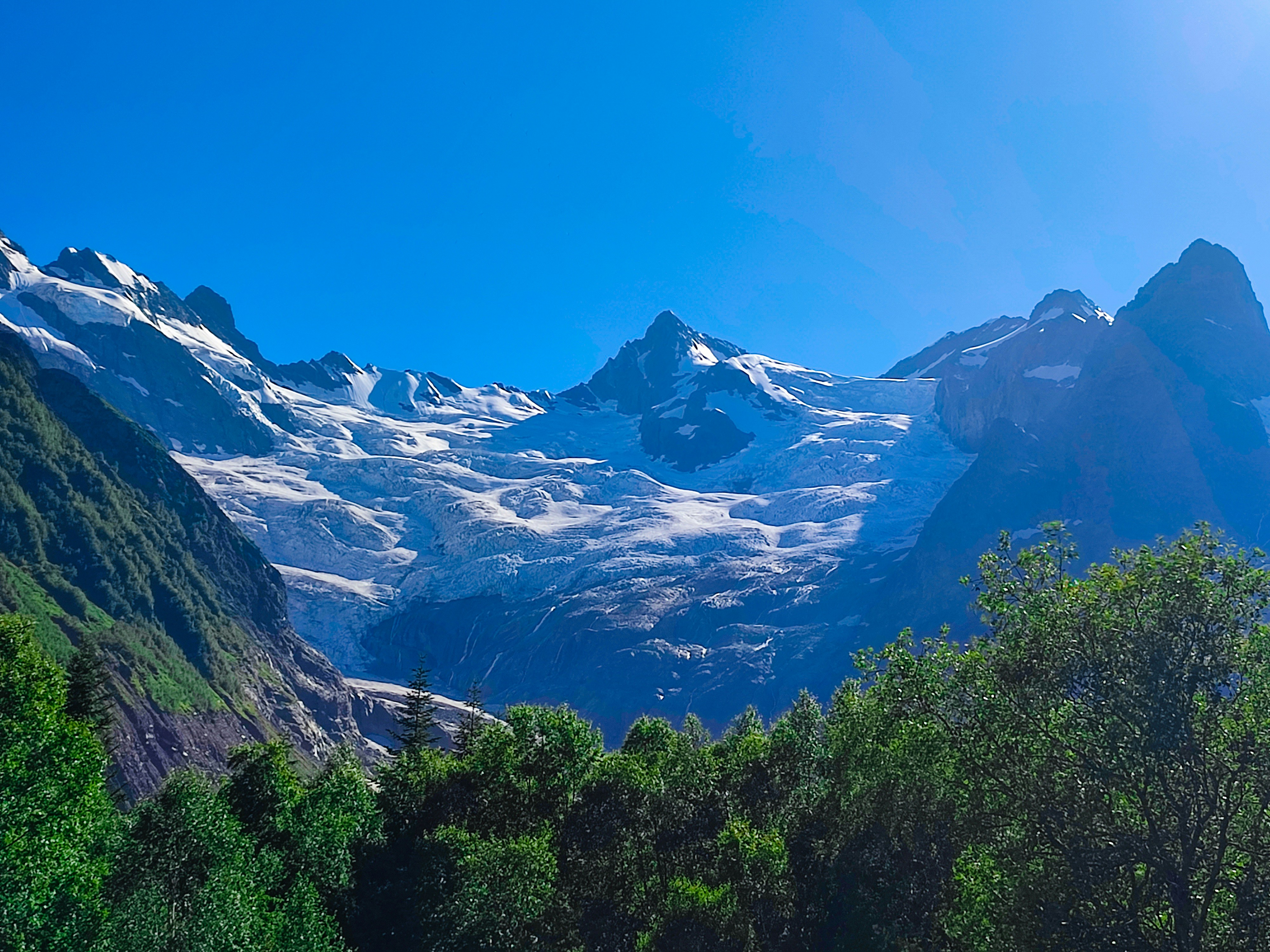 Photo by androktonus