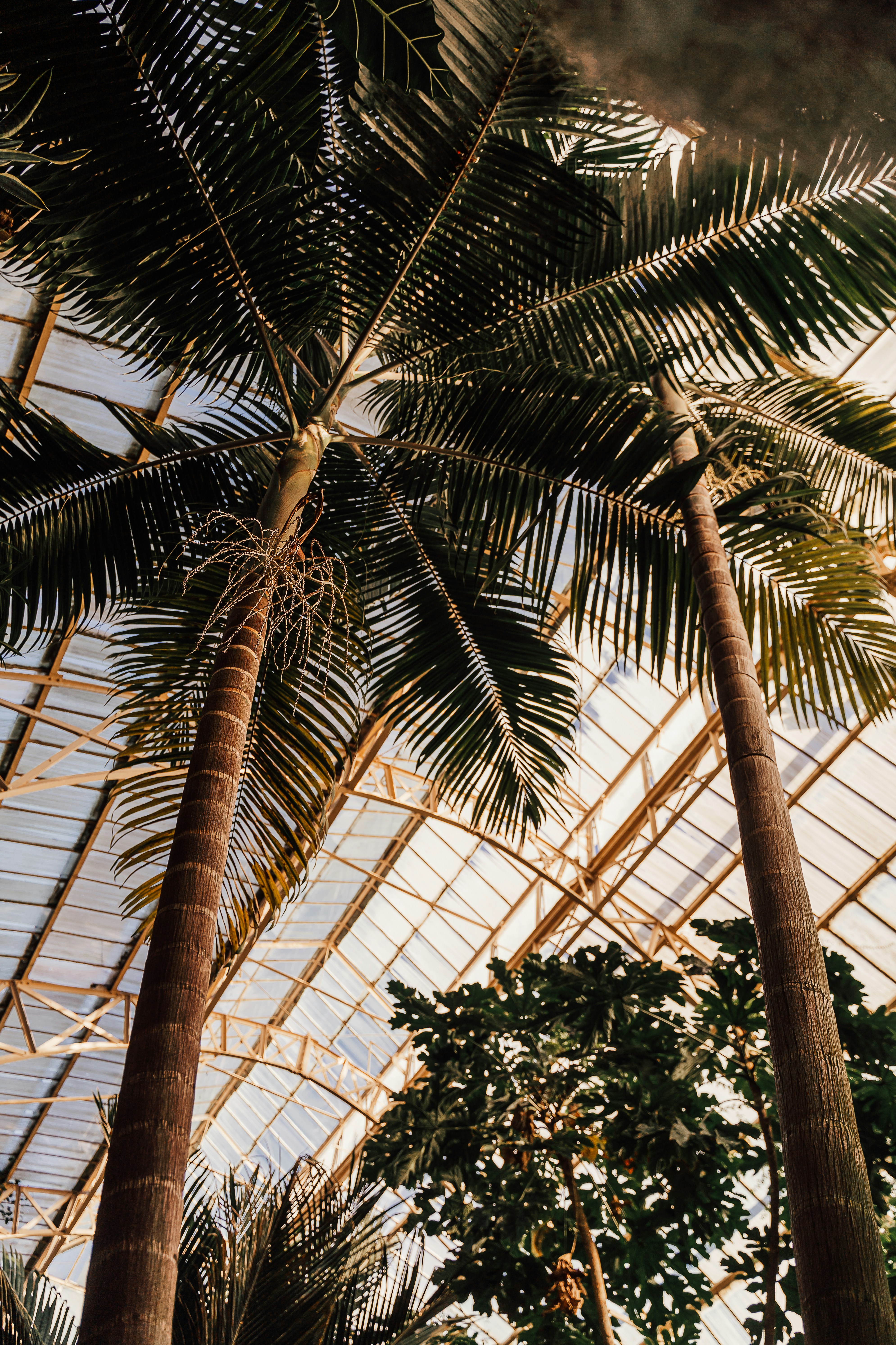 Photo by michellem18