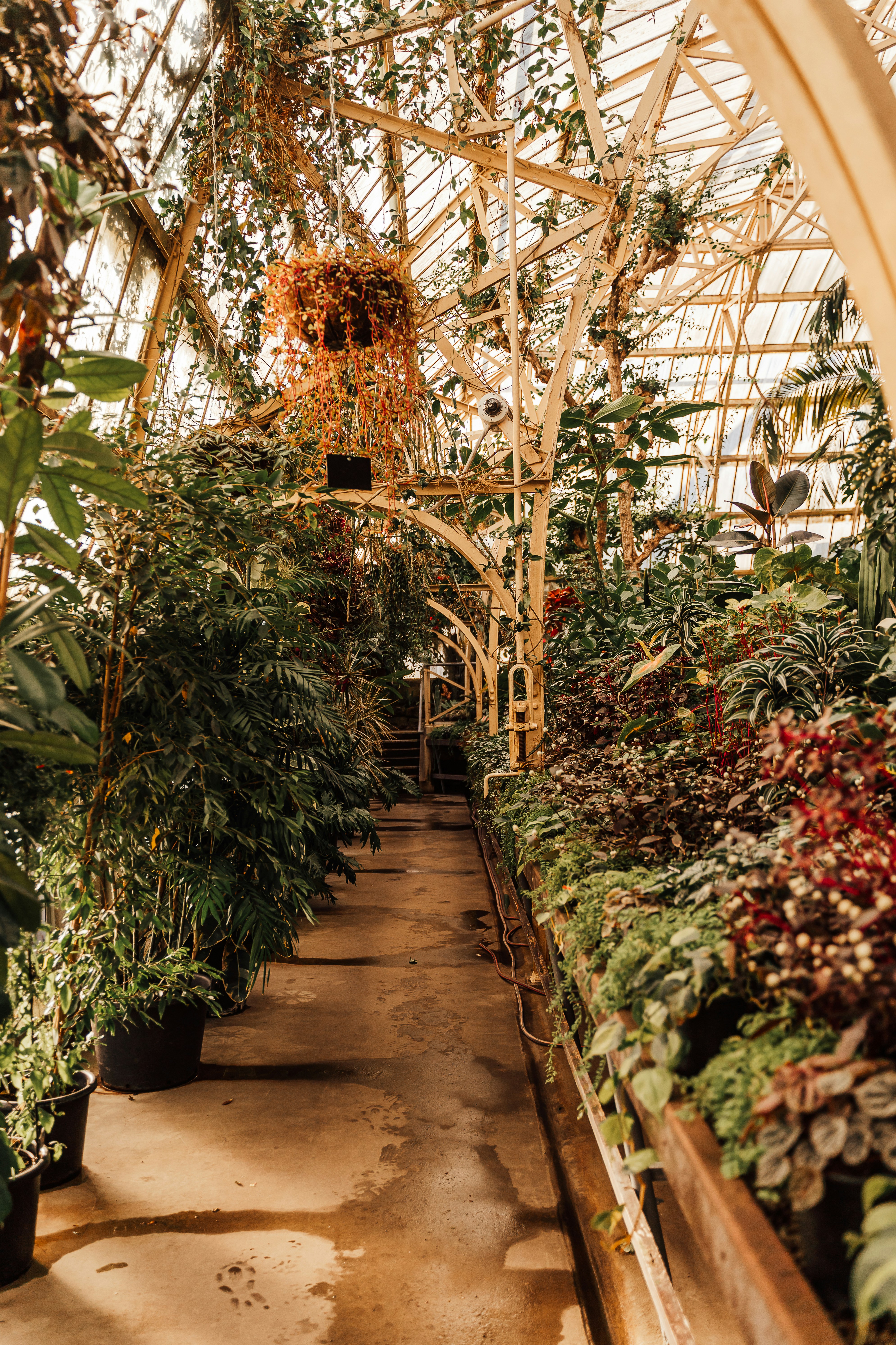 Photo by michellem18