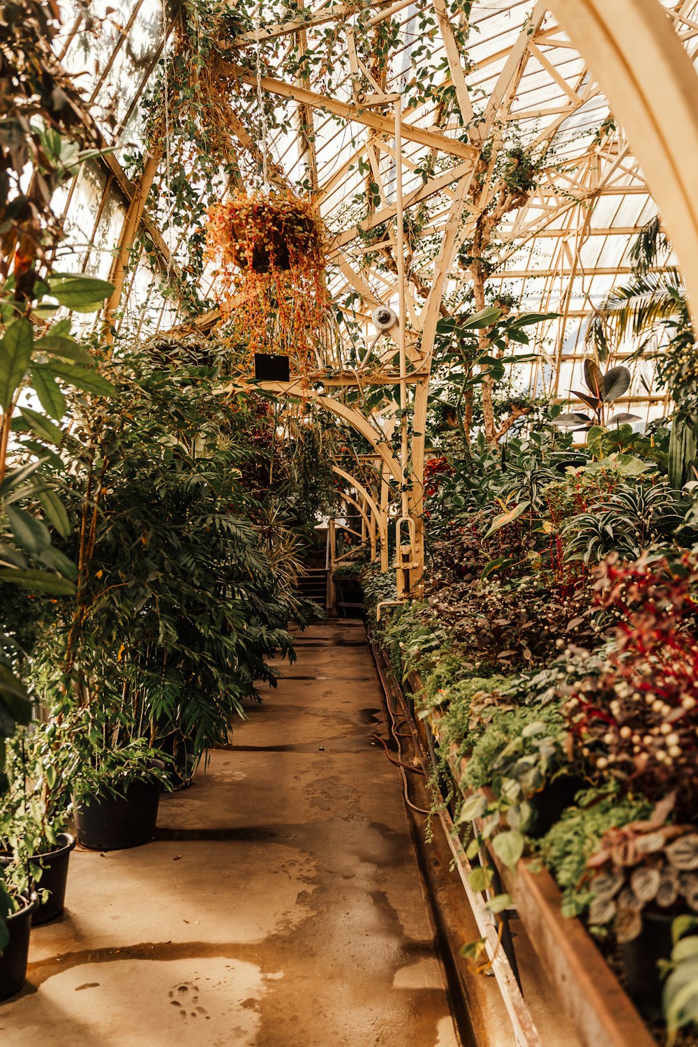 a greenhouse filled with lots of different types of plants