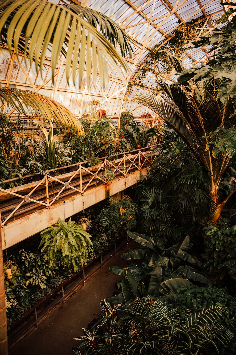 a greenhouse filled with lots of plants and trees