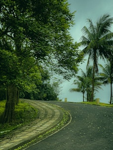 A well-laid concrete road running through a gated community with lush green surroundings.