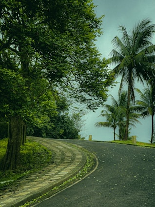 A well-laid concrete road running through a gated community with lush green surroundings.