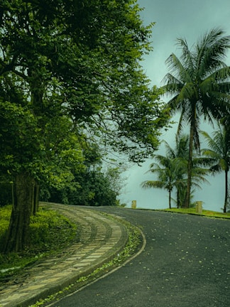 A paved road winding through the neatly laid out infrastructure of Vista Greens community.