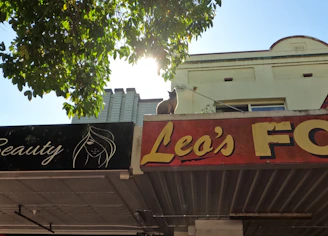 A cat sits on the edge of a rooftop under the bright sunlight. The building features signage with 'Leo’s' in bold letters, and is partially shaded by the branches of a lush green tree.
