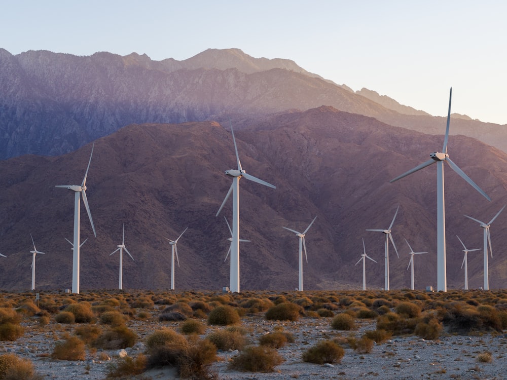 um monte de moinhos de vento no deserto com montanhas ao fundo