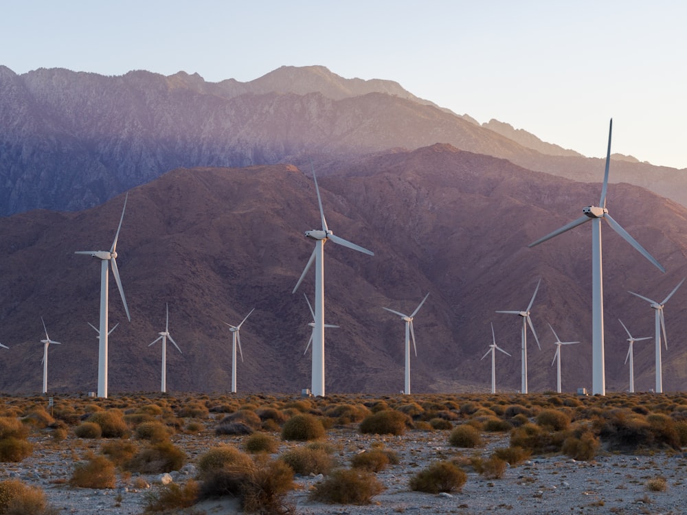 a bunch of windmills in the desert with mountains in the background