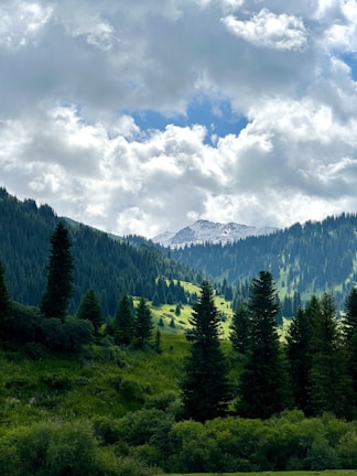 A picturesque mountain landscape surrounded by lush greenery.