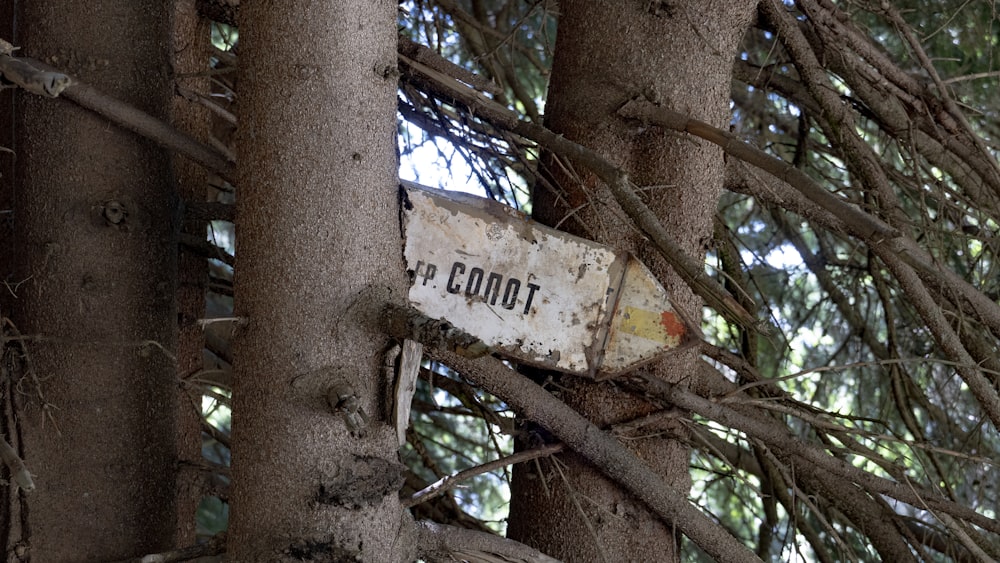 a rusted street sign hanging from a tree