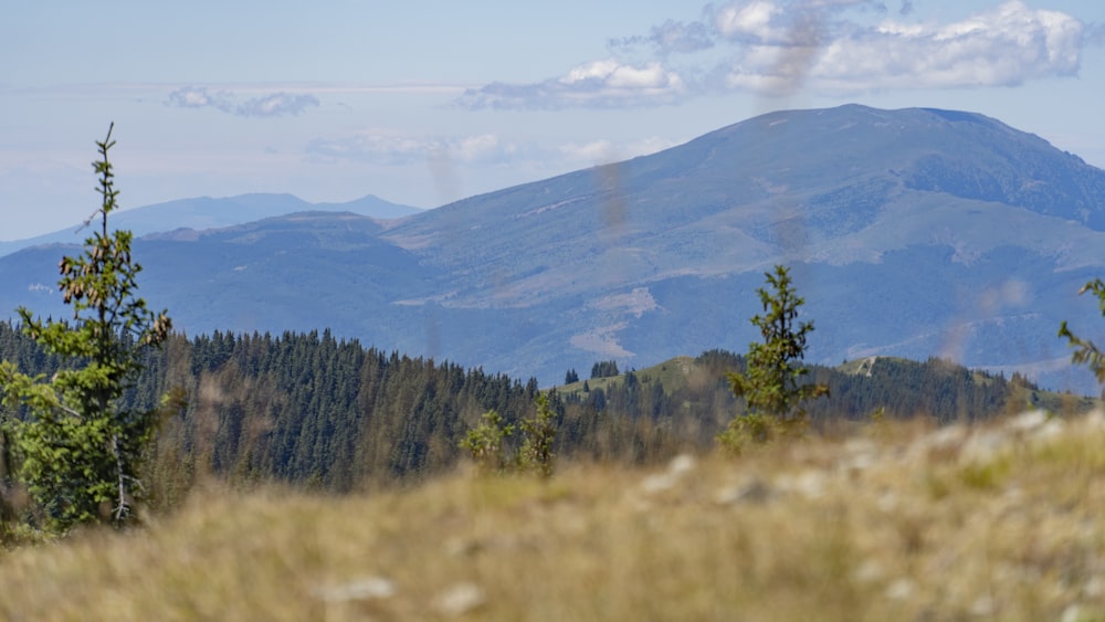 uma vista de uma cordilheira à distância