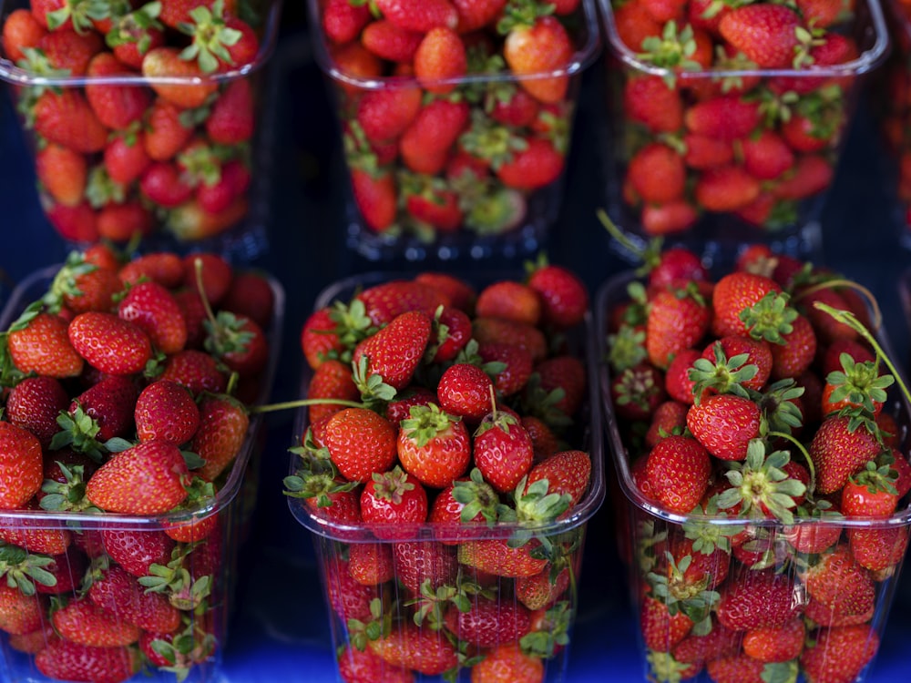 Un montón de fresas están en recipientes de plástico