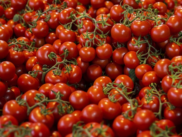 A large pile of vibrant red tomatoes with green stems, tightly packed together. The tomatoes are shiny and fresh, suggesting ripeness and quality.
