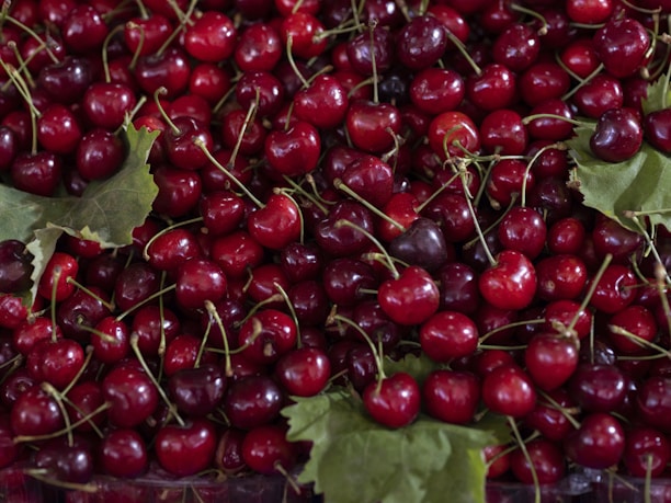 A large pile of fresh red cherries with green leaves scattered among them. The cherries are shiny and vibrant, contrasting with the deep green of the leaves.