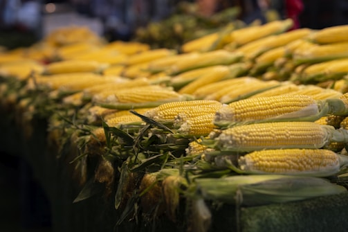 corn on the cob are being sold at a market