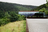 A modern glass-walled building is set amidst a lush green forest landscape. The structure features reflective windows that mirror the surrounding vegetation, creating a seamless blend with nature. A gravel path leads to the building, contrasting the vibrant greenery with its pale color. The forest in the background is dense with tall trees and rich foliage.