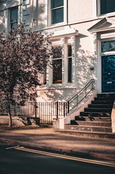 A well-maintained urban residential facade with a white brick exterior and ornate window moldings. A staircase with a black railing leads up to a striking blue door. A tree with dark red leaves adds contrast, with its shadows casting on the building's surface. The street in front features a double yellow line and a textured sidewalk.