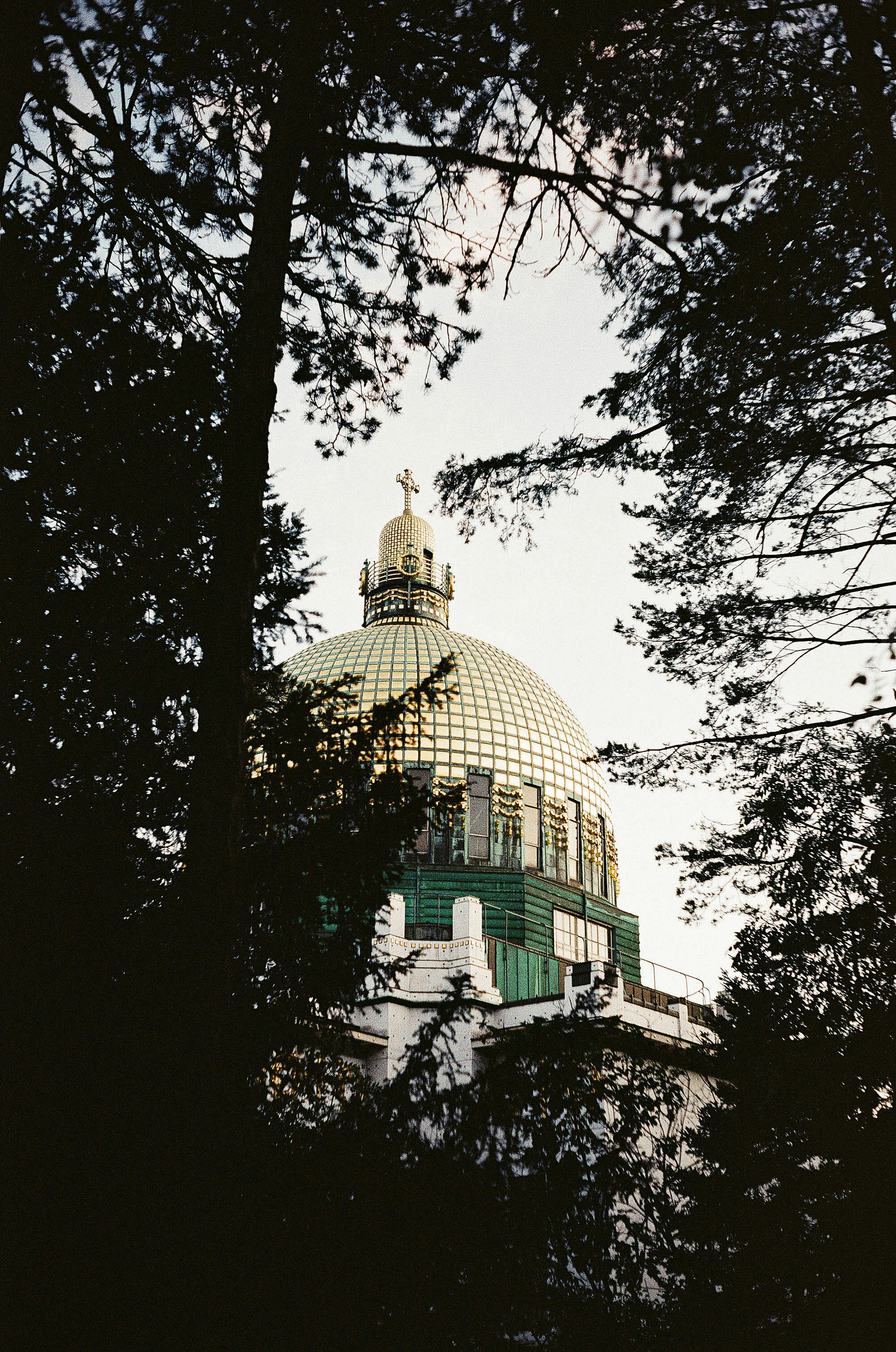 the dome of a building is seen through the trees