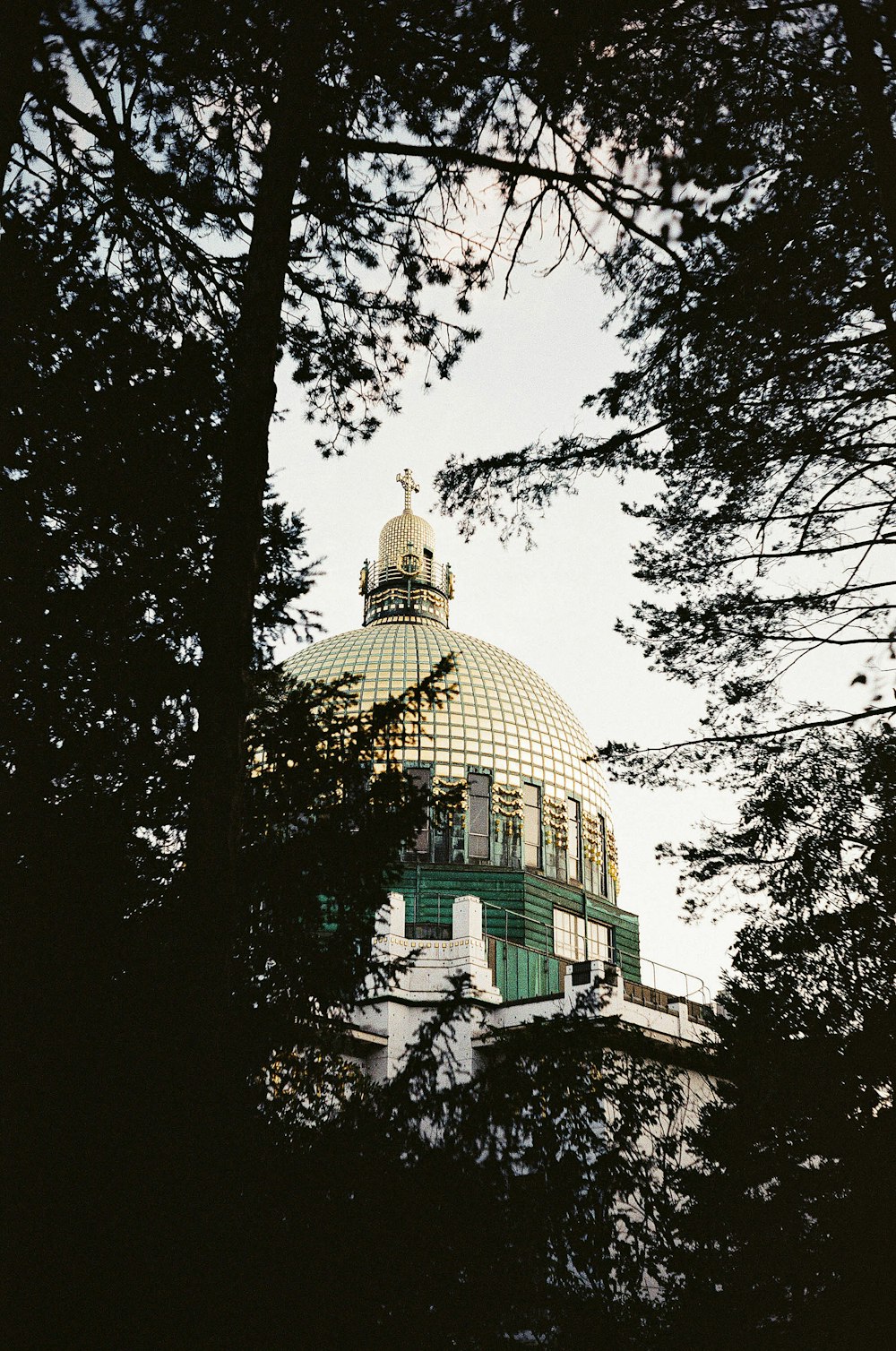 the dome of a building is seen through the trees