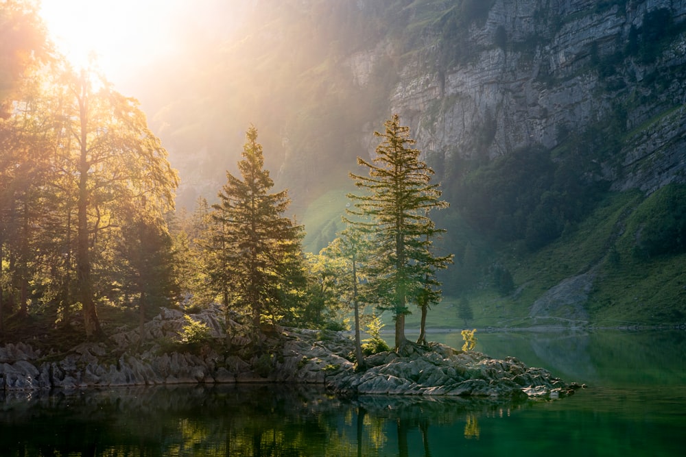 a lake surrounded by trees and a mountain