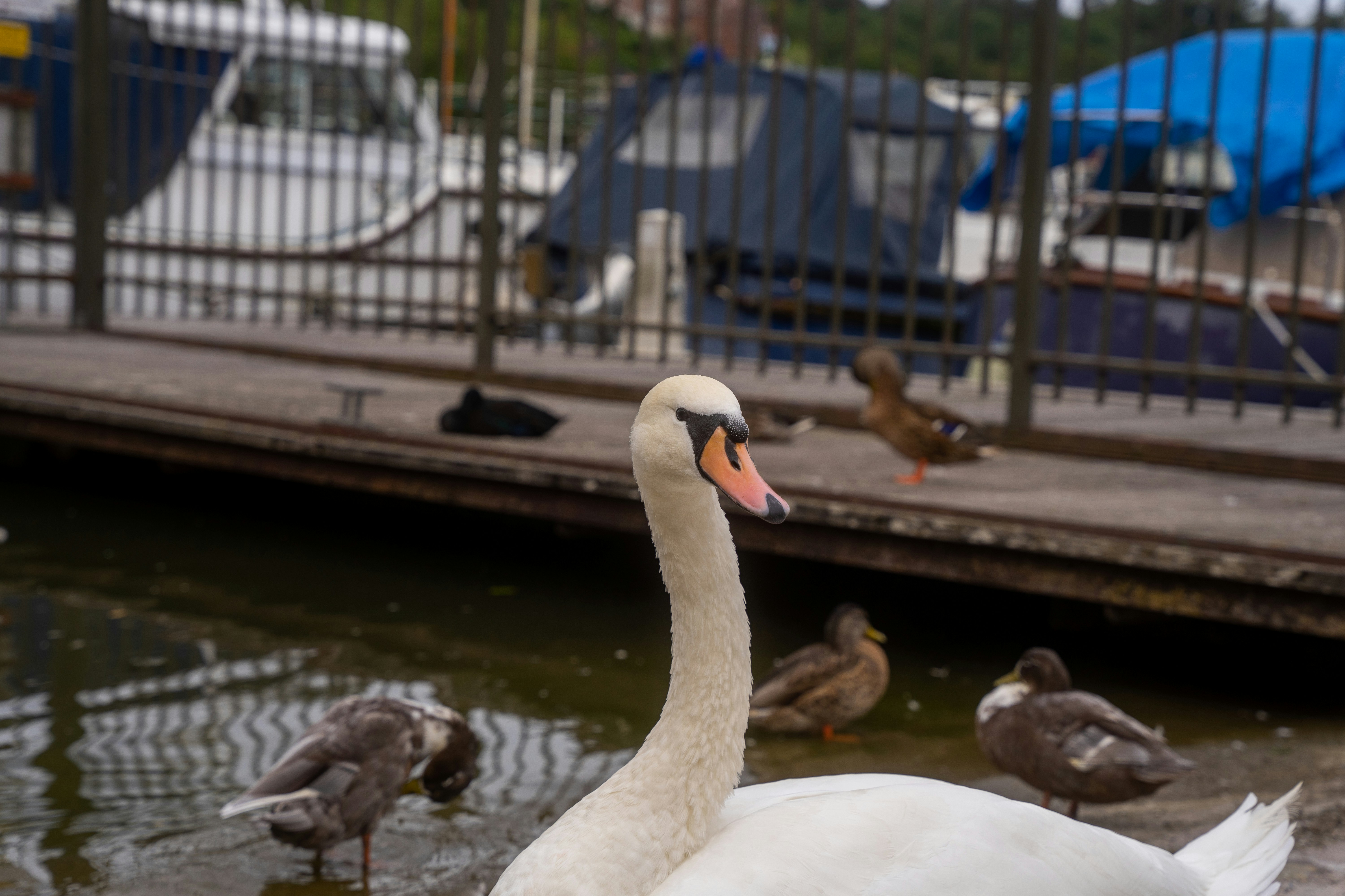 Photo by frankschlattmann