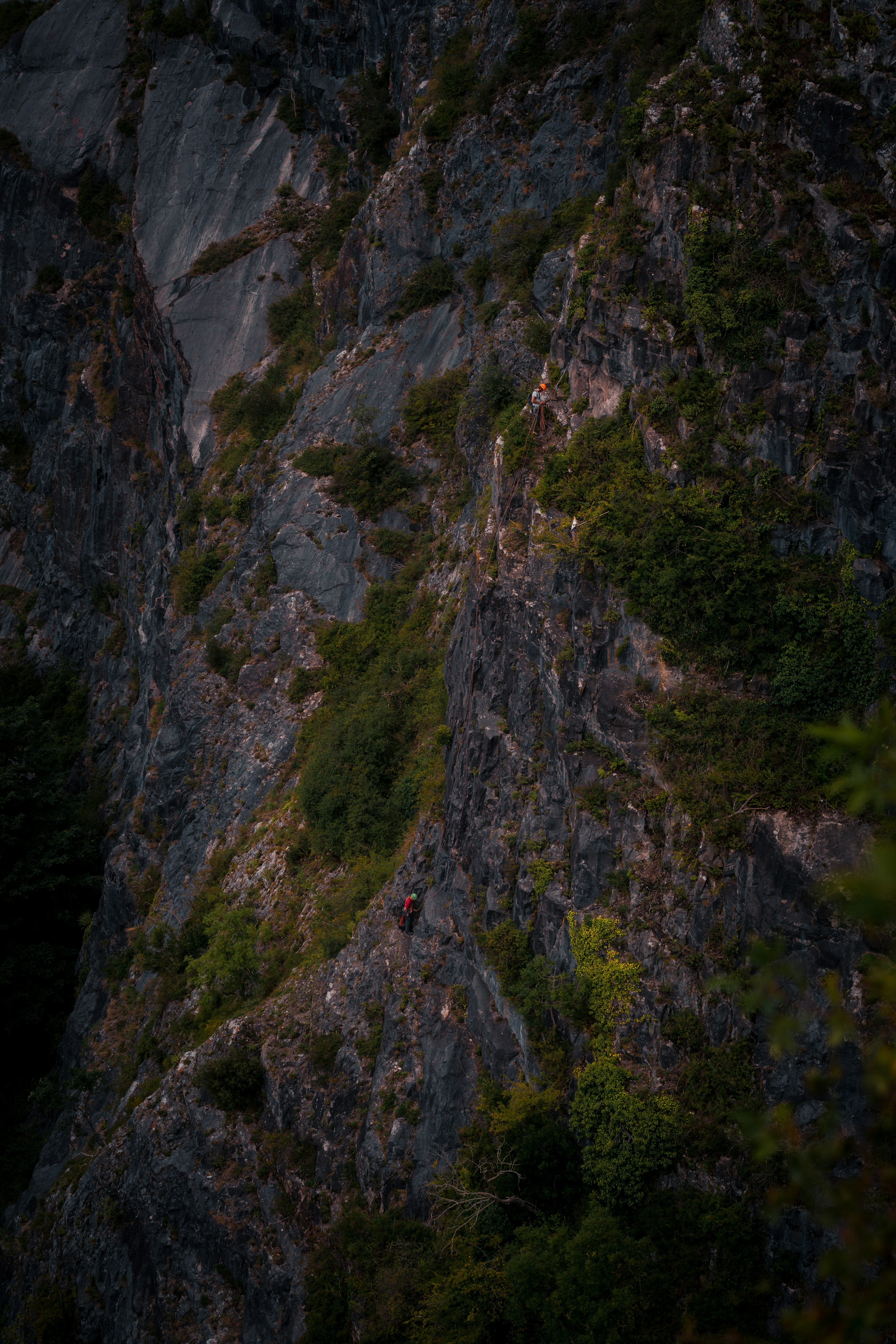 Photo by frankschlattmann