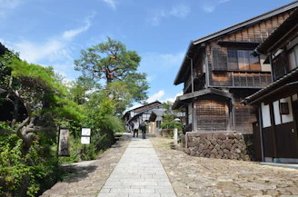A serene rural village pathway lined with lush greenery and traditional homes under a clear sky.