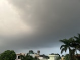 Dark storm clouds gather over a suburban neighborhood with homes and lush green trees, including palm trees, in the foreground.