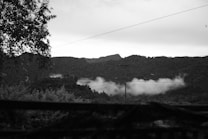 A serene, monochromatic landscape featuring a dense forest with rolling hills or mountains in the background. Mist or low clouds gently hover over the trees, creating an ethereal effect. In the foreground, silhouettes of tree branches and a utility pole with power lines add depth to the scene.